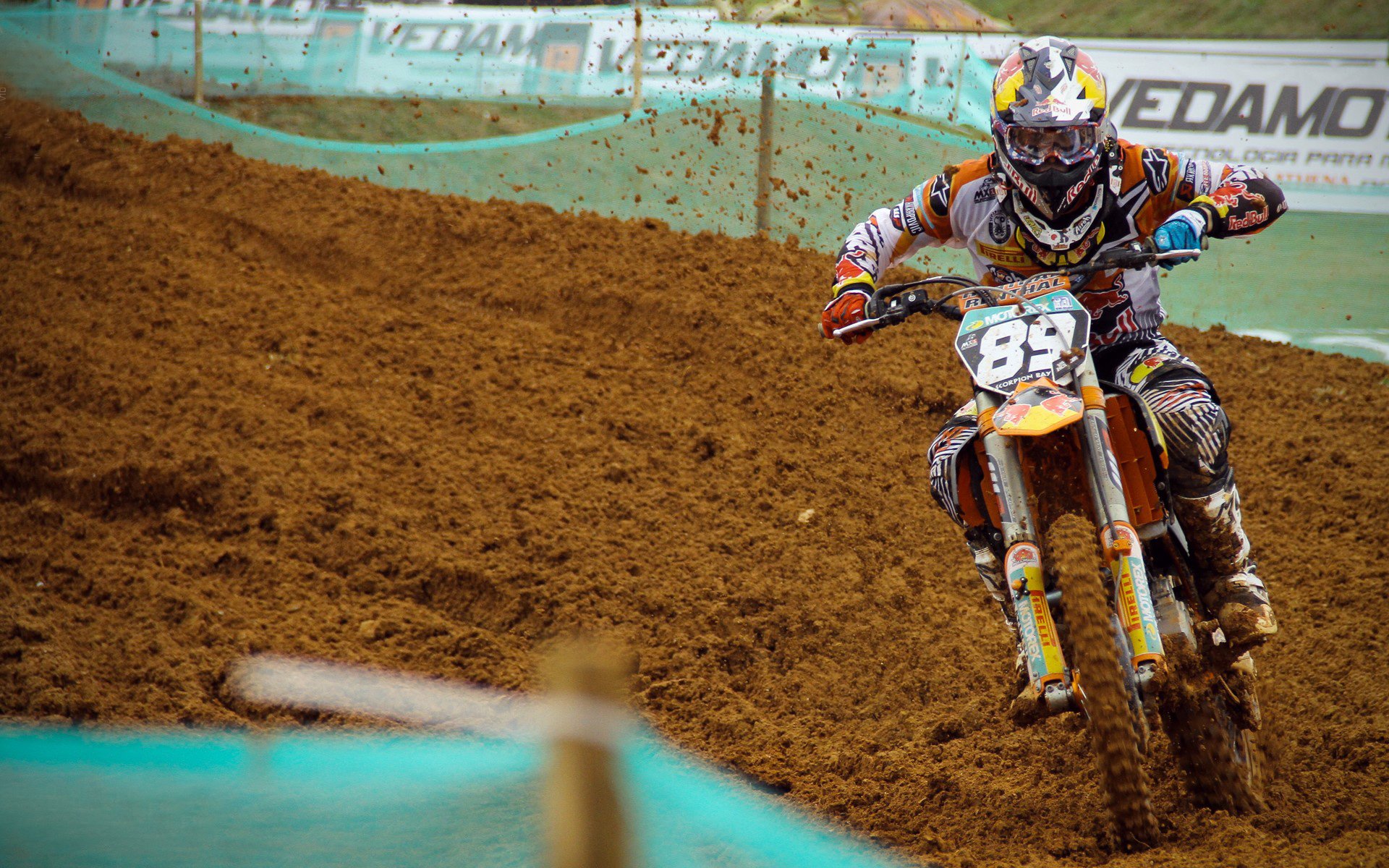 美国马术协会授予劳拉·克劳特“年度最佳盛装舞步骑手”称号。